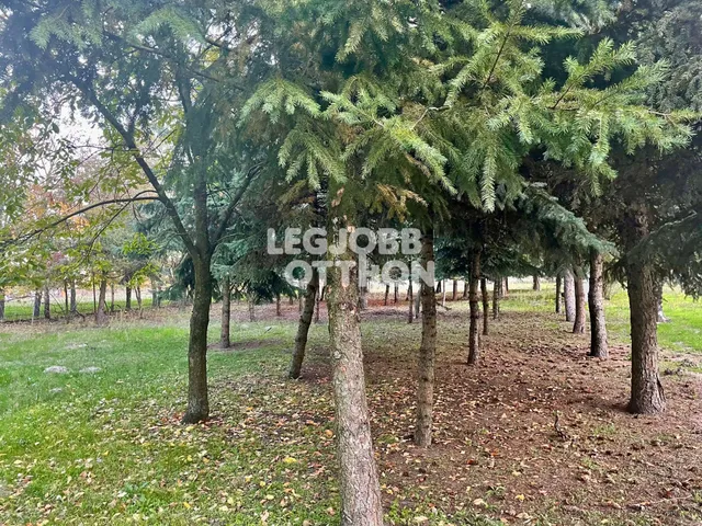 Eladó mezőgazdasági ingatlan Csemő 16677 nm