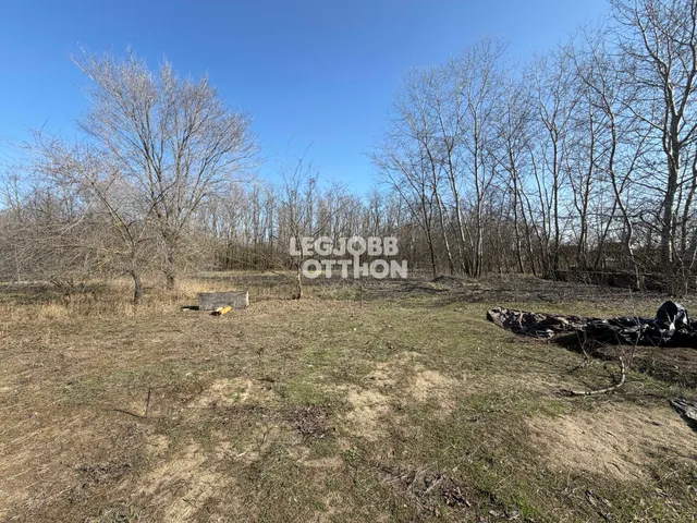 Eladó mezőgazdasági ingatlan Csemő 4167 nm