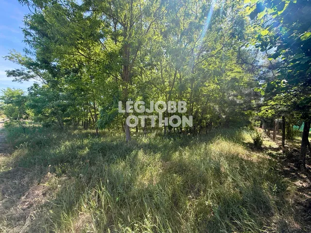 Eladó mezőgazdasági ingatlan Csemő 2170 nm