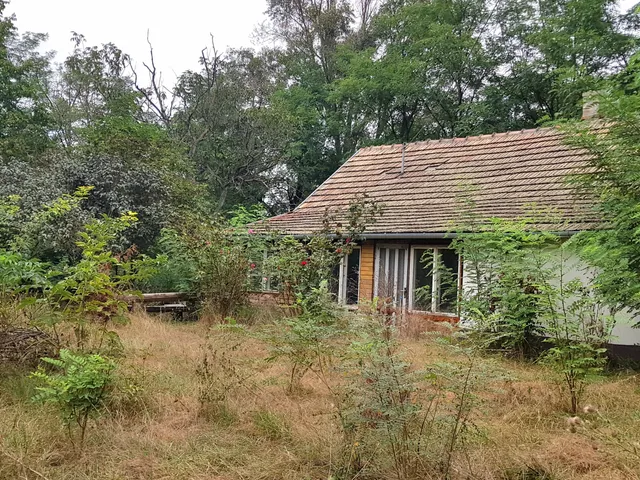 Eladó üdülő és hétvégi ház Mesterszállás, Külterület 195/2 hrsz. 60 nm