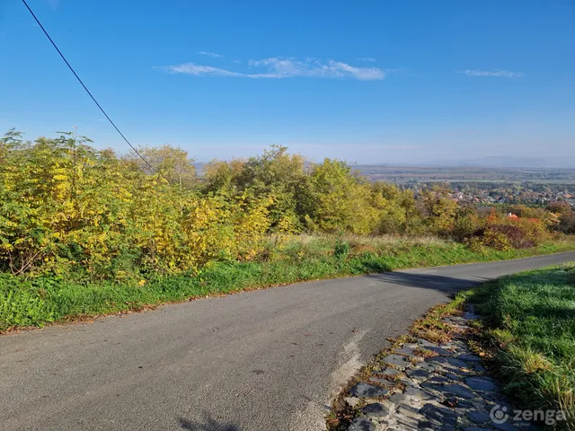 Eladó mezőgazdasági ingatlan Lesenceistvánd, Csengő hegy 4126 nm