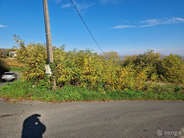 Eladó mezőgazdasági ingatlan Lesenceistvánd, Csengő hegy 4126 nm