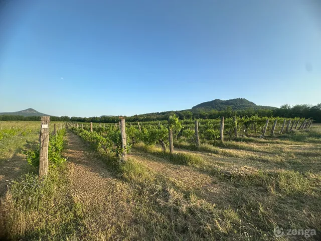 Eladó mezőgazdasági ingatlan Kisapáti 5754 nm
