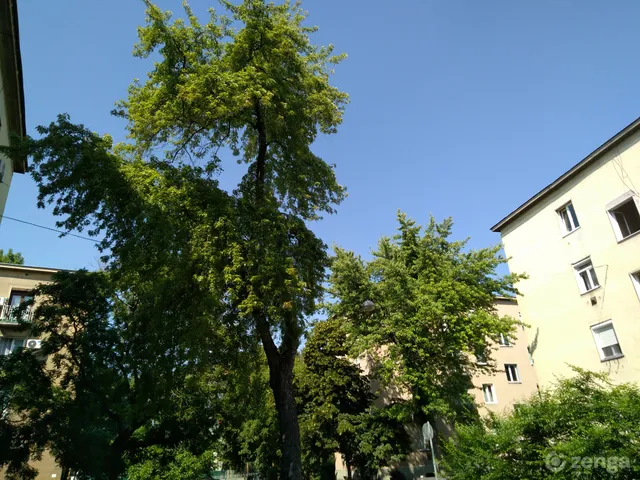 Eladó lakás Budapest X. kerület 30 nm