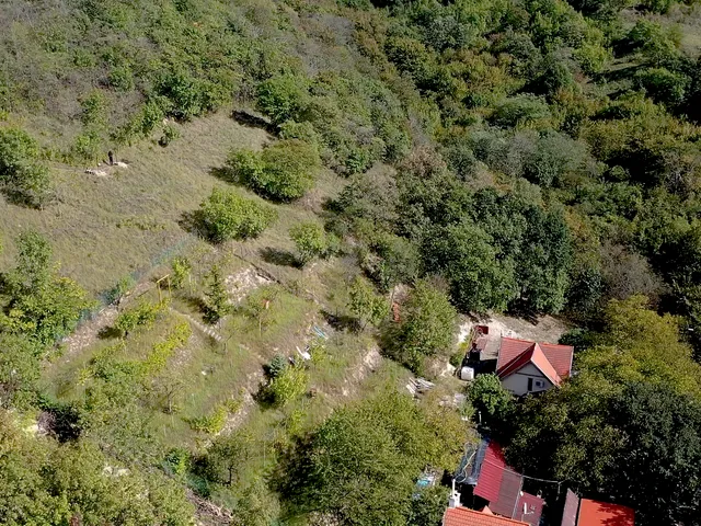 Eladó telek Visegrád, Újhegy dűlő
