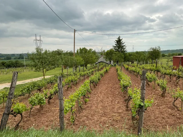 Eladó mezőgazdasági ingatlan Sóly, Szőlőhegy 50 nm