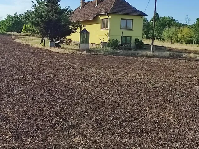 Eladó mezőgazdasági ingatlan Sóly 50 nm