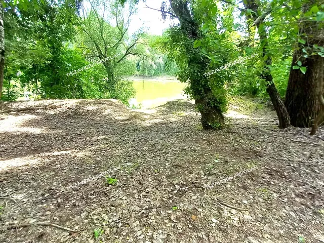 Eladó mezőgazdasági ingatlan Nagykörű, Tóalja 50 nm