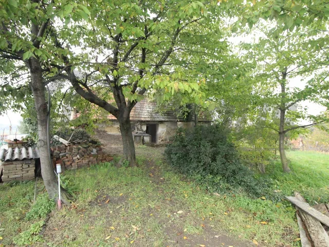 Eladó mezőgazdasági ingatlan Mesteri 40 nm