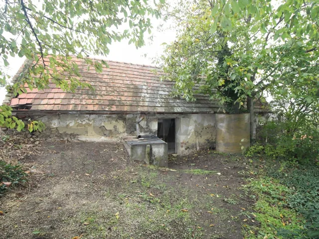 Eladó mezőgazdasági ingatlan Mesteri 40 nm