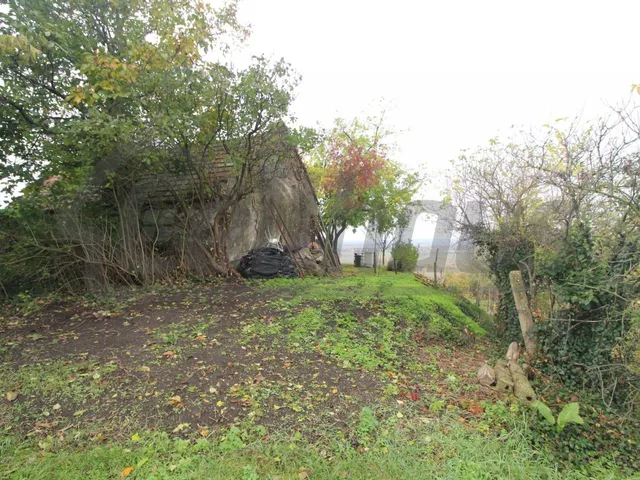 Eladó mezőgazdasági ingatlan Mesteri 40 nm