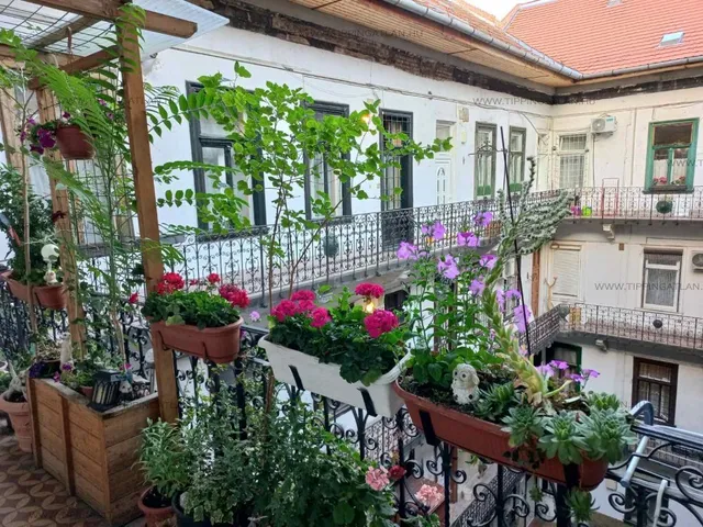Eladó lakás Budapest VII. kerület 30 nm