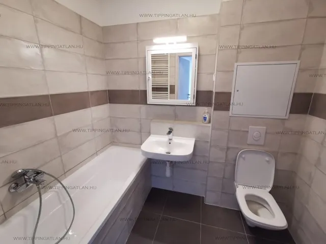 Eladó lakás Budapest IX. kerület, Rehabilitációs terület IX. ker., Lenhossék u 44 nm