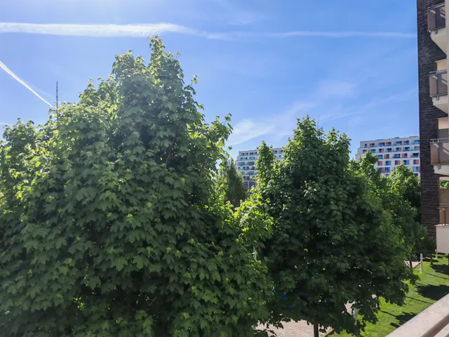 Eladó lakás Budapest XI. kerület 41 nm