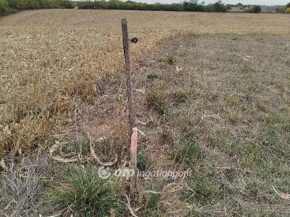 Eladó telek Szalánta 1513 nm