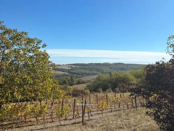 Eladó nyaraló Almamellék 65 nm