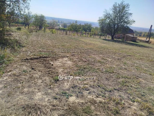 Eladó mezőgazdasági ingatlan Harkány 30 nm