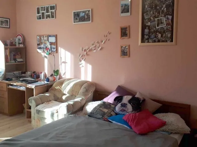 Eladó lakás Zalaegerszeg 81 nm