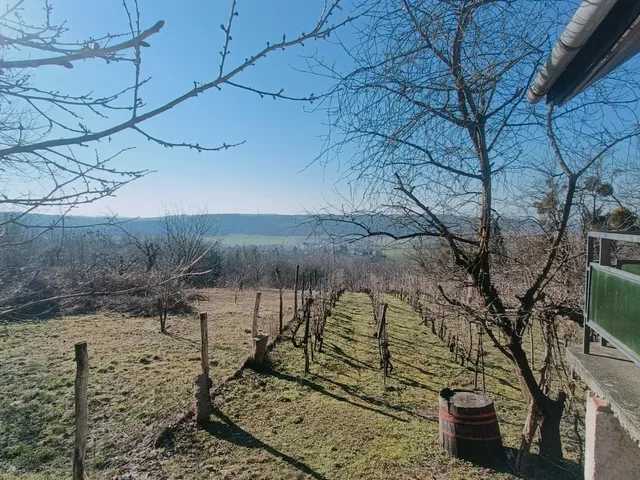 Eladó mezőgazdasági ingatlan Alsónemesapáti, Öreg hegy 21 nm