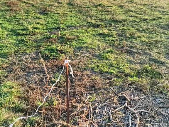 Eladó ház Mikepércs 89 nm