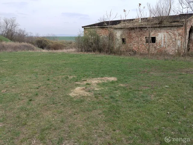 Eladó mezőgazdasági ingatlan Rózsaszentmárton 62000 nm