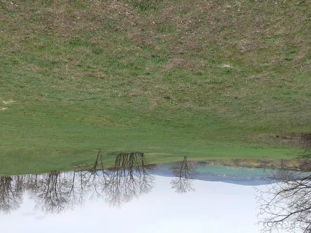 Eladó mezőgazdasági ingatlan Rózsaszentmárton 62000 nm