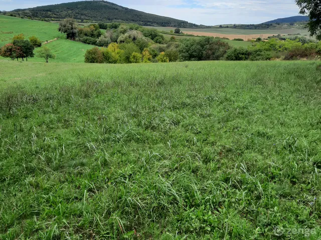 Eladó mezőgazdasági ingatlan Rózsaszentmárton 60307 nm