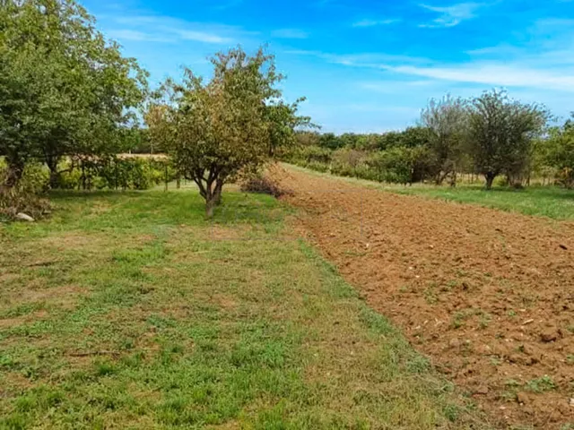 Eladó mezőgazdasági ingatlan Várpalota 45 nm