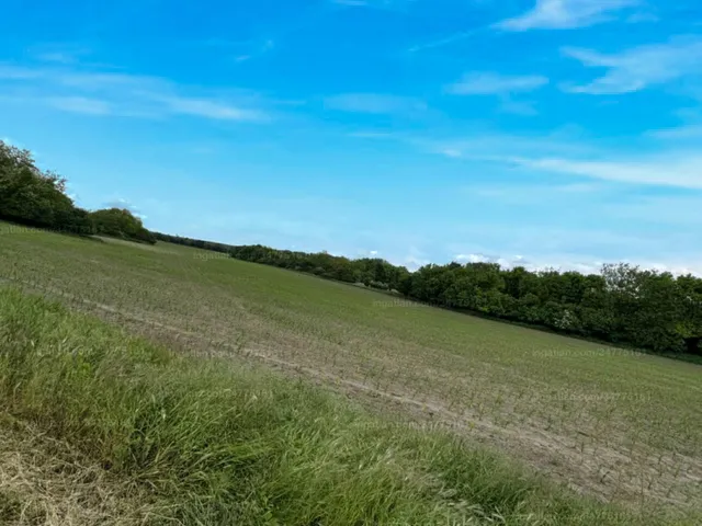 Eladó telek Székesfehérvár 1118 nm