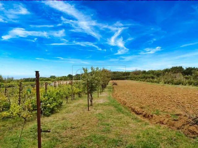 Eladó mezőgazdasági ingatlan Várpalota 45 nm