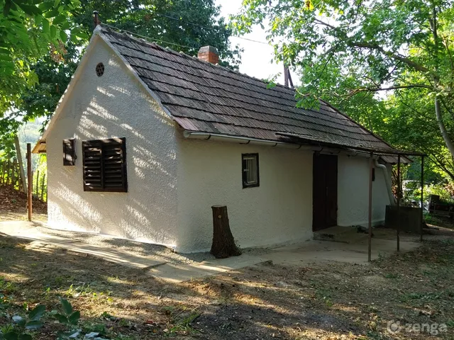 Eladó mezőgazdasági ingatlan Homokkomárom 40 nm