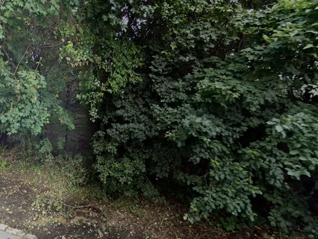 Eladó telek Budapest II. kerület, Budaliget 1299 nm