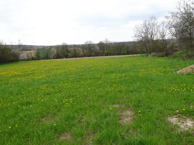 Eladó telek Olaszfalu 5518 nm