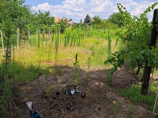 Eladó ház Tura 120 nm