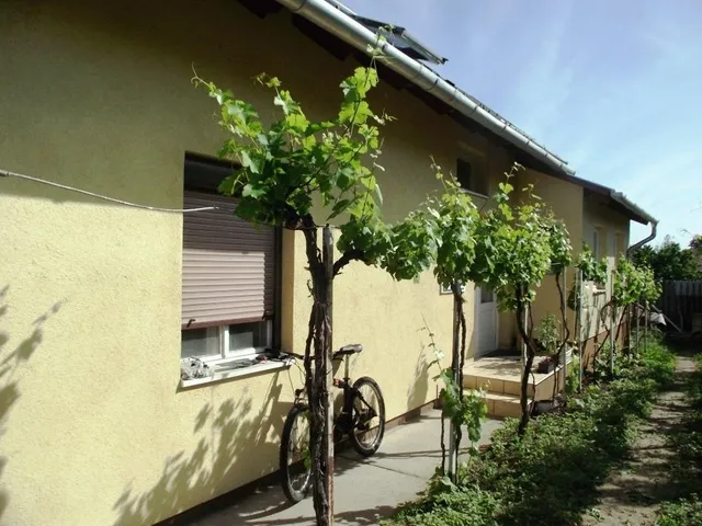 Eladó ház Székesfehérvár, Maroshegy 278 nm