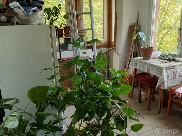 Eladó ház Budapest III. kerület, Csúcshegy 45 nm