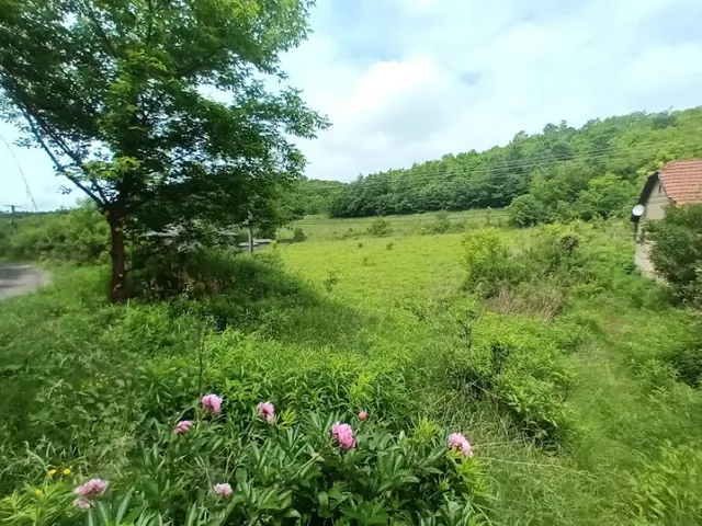 Eladó telek Ózd, Szenna, Muskátli út 15 4000 nm