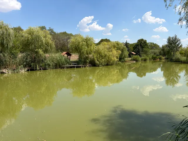 Eladó ház Szentkirály, Alsószentkirály 317 nm