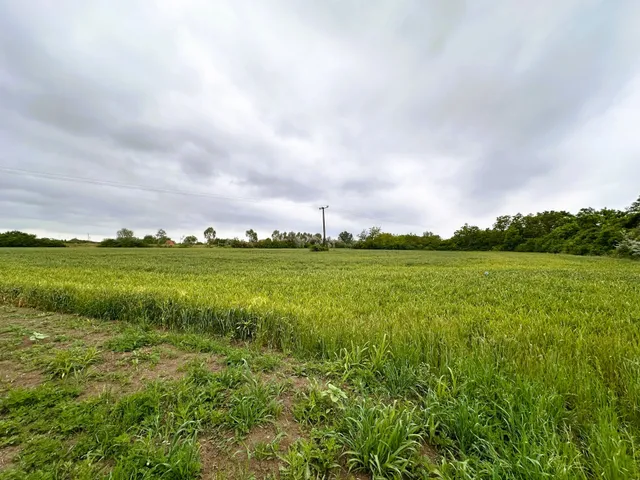 Eladó telek Gyula, Paradicsom 2041 nm