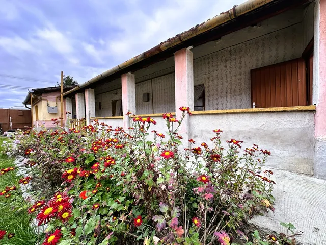 Eladó ház Mezőkovácsháza 70 nm