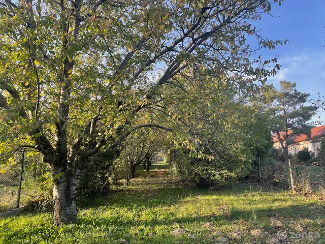 Eladó telek Budajenő, Szőlőhegyi út 35. 861 nm