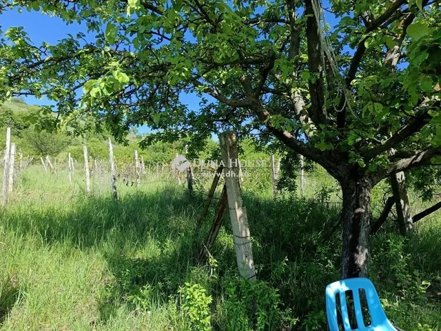 Eladó telek Vác 6150 nm