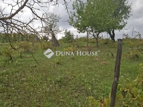 Eladó telek Lovasberény 842 nm