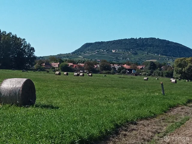 Eladó ház Borszörcsök, Jókai 22 90 nm