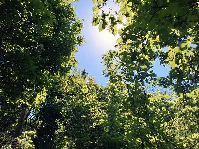 Eladó telek Gyöngyös 893 nm