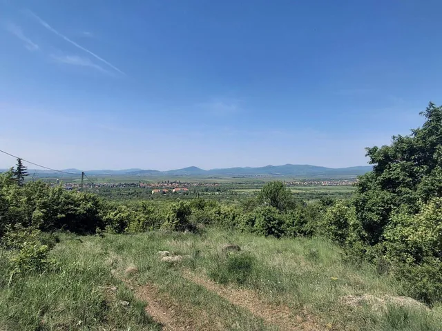 Eladó mezőgazdasági ingatlan Gyöngyös 893 nm