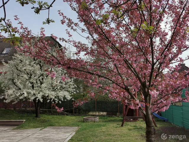 Eladó ház Budapest XVI. kerület 350 nm