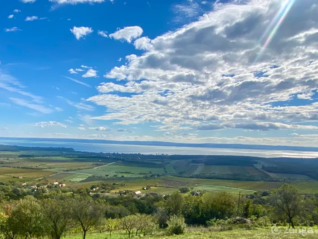 Eladó mezőgazdasági ingatlan Monoszló 5020 nm