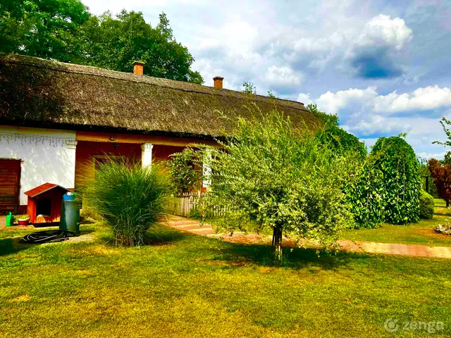Eladó mezőgazdasági ingatlan Lajosmizse 6000 nm