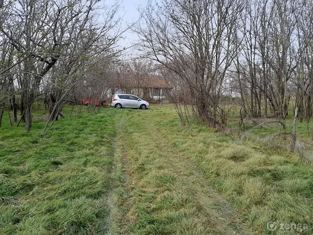 Eladó mezőgazdasági ingatlan Szentes, Lapistó 96 nm